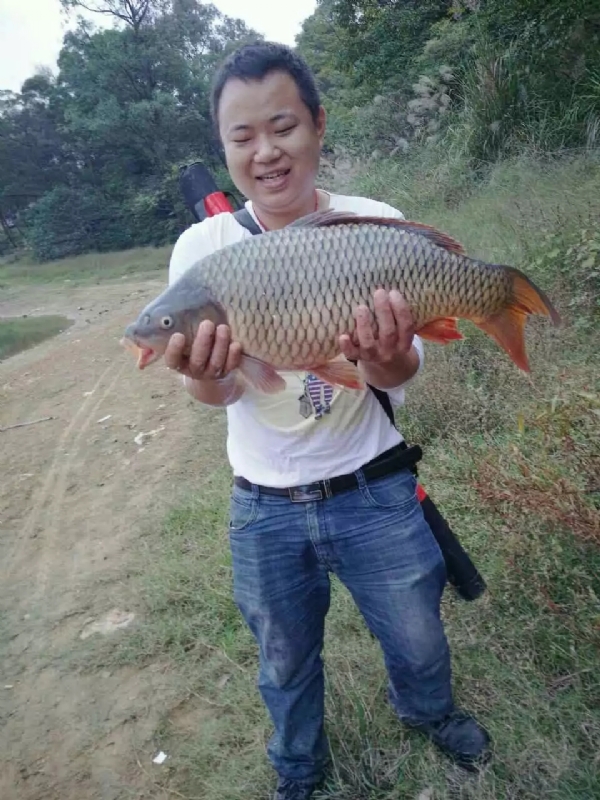 迷路的男人的第一张照片--怀化交友中心