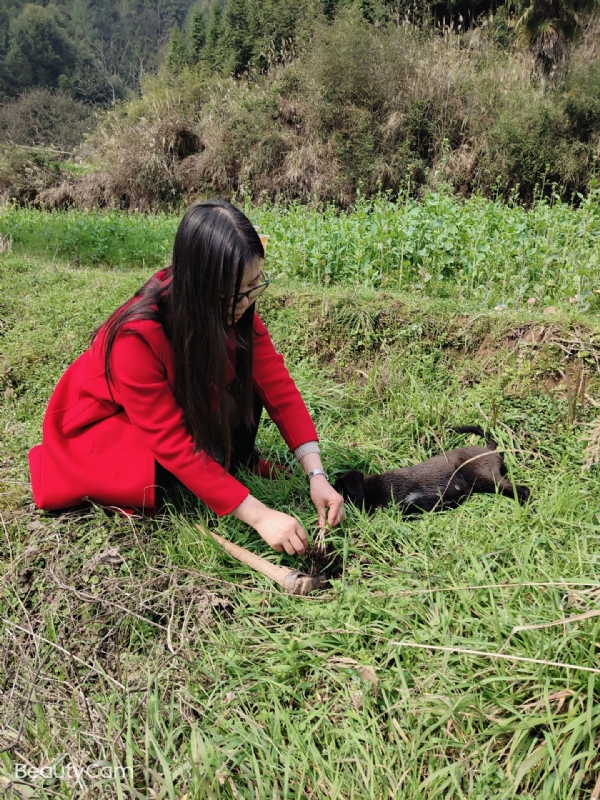 下一个春和秋的第一张照片--怀化交友中心